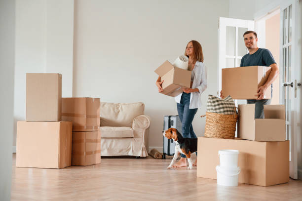 Apartment Moves